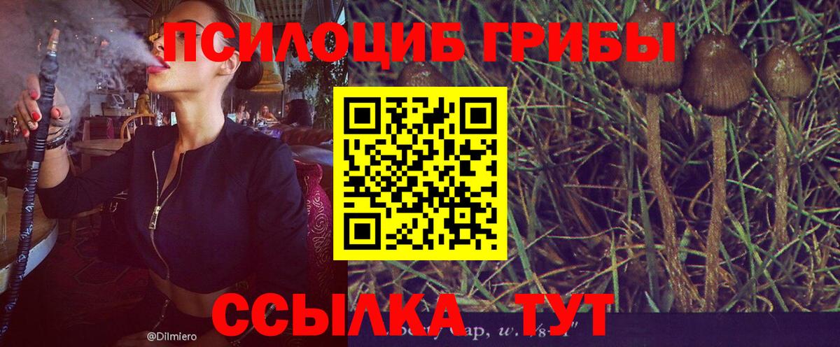 Галлюциногенные грибы Psilocybine cubensis Шали