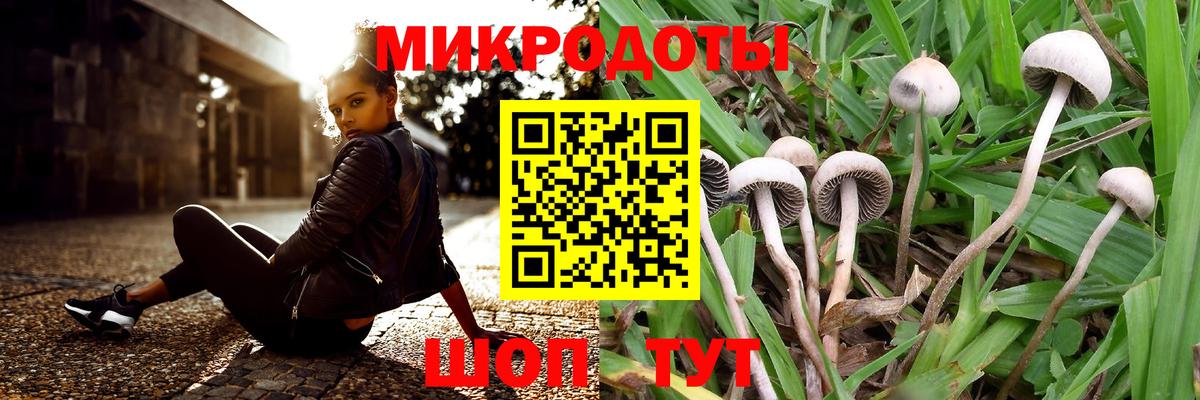 Галлюциногенные грибы ЛСД  Галлюциногенные грибы прущие грибы  что такое   Шали 